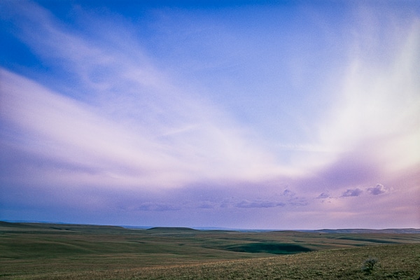 boardman grasslands