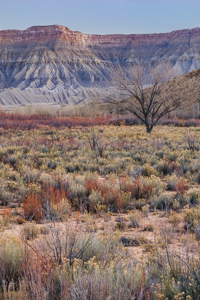 desert pastels