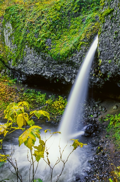 ponytail falls
