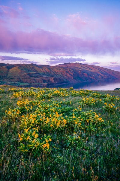 rowena plateau sunset