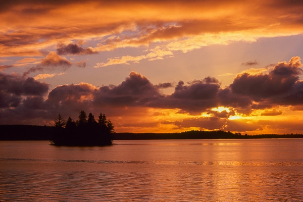 willapa bay sunset